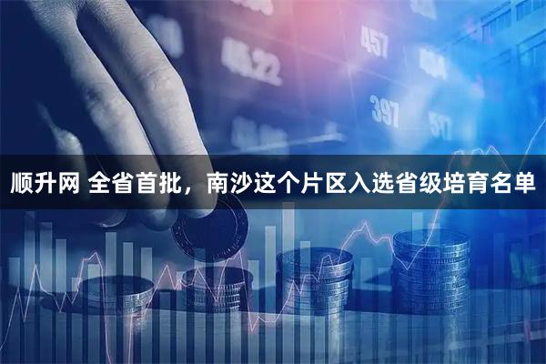顺升网 全省首批，南沙这个片区入选省级培育名单